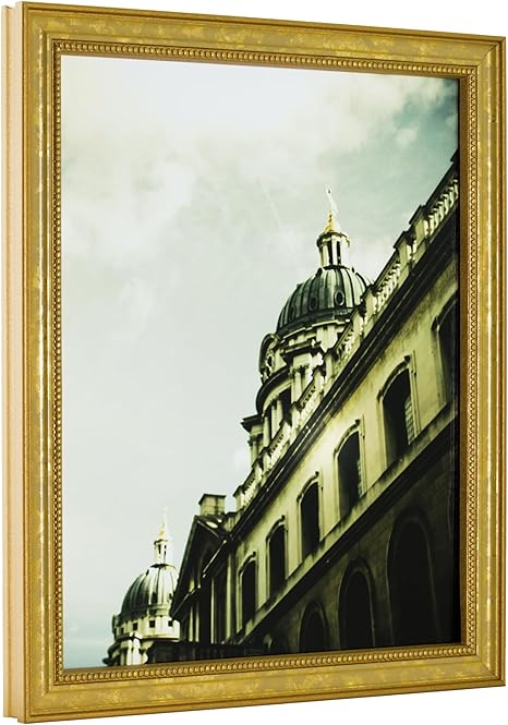 Ornate Gold Picture Frame Matted to Display  Photo