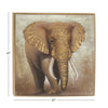 Elephant Framed Wall Art with Gold Frame