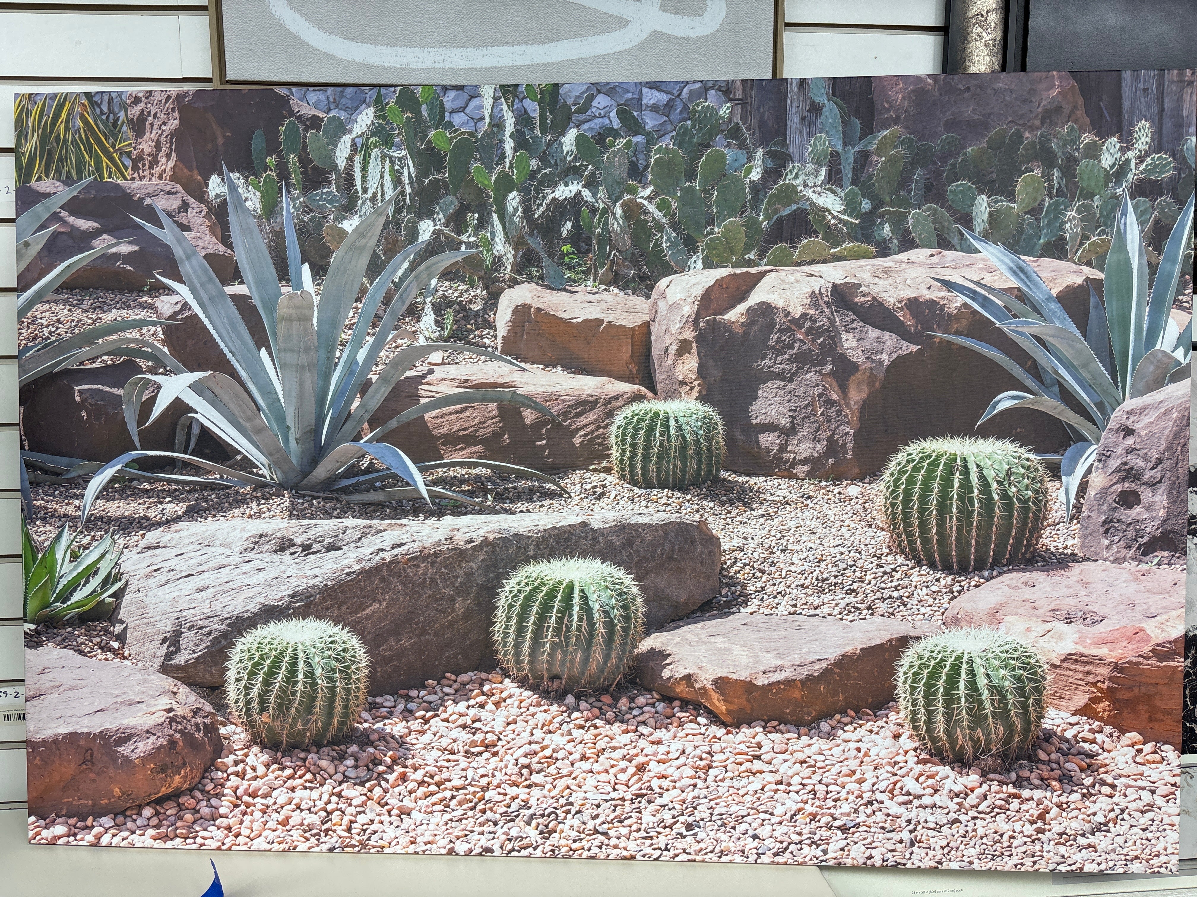32" x 48" Cactus In Botanical Garden by Union Rustic SHOWROOM ITEM