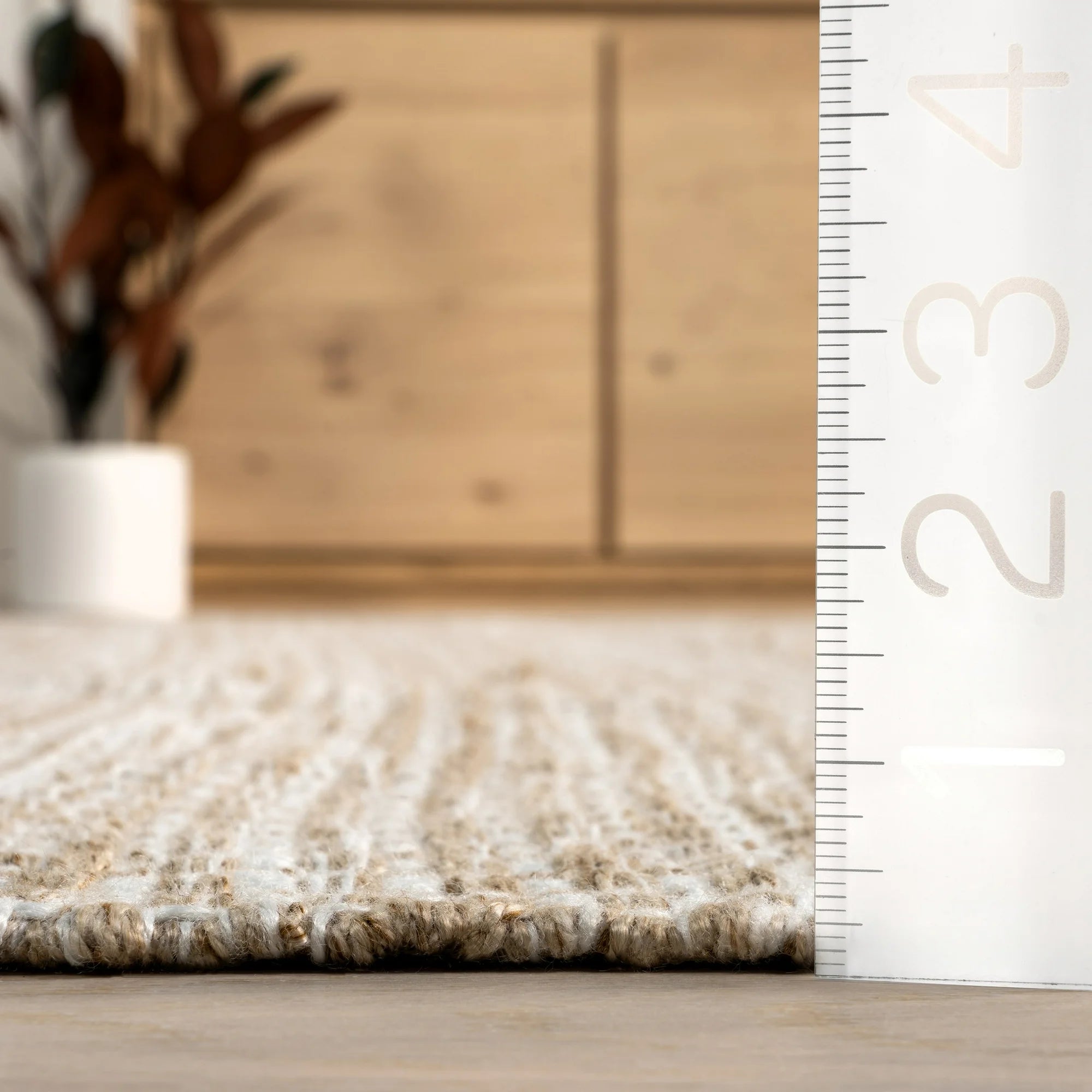 Catherine Solid Farmhouse Fringe Area Rug - 4' x 6' Beige