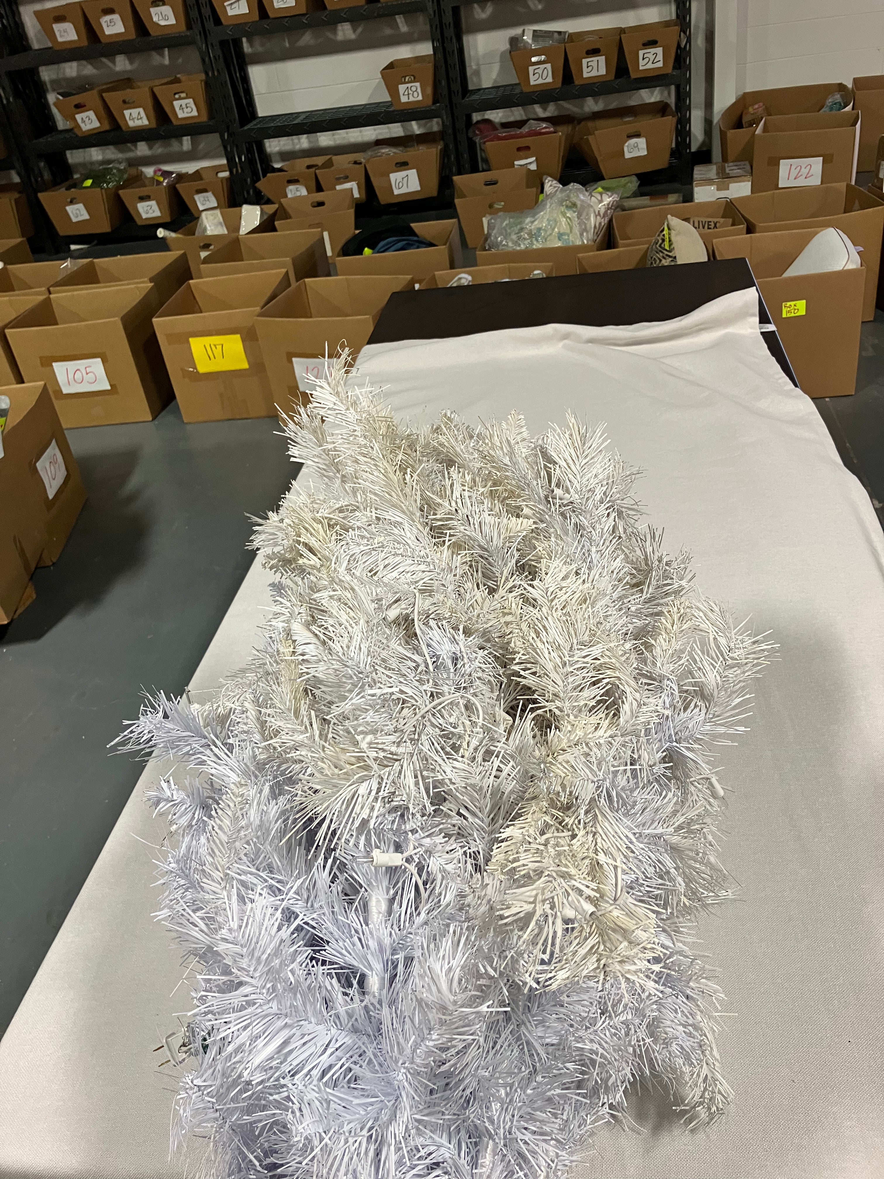 Dunhill White Fir Tree with Clear Lights