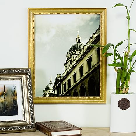 Ornate Gold Picture Frame Matted to Display  Photo