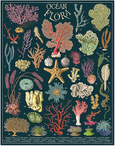 1000 Piece Puzzle, Ocean Flora