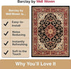 Barclay Medallion Kashan Black Traditional Area Rug