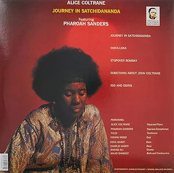 Journey in Satchidananda