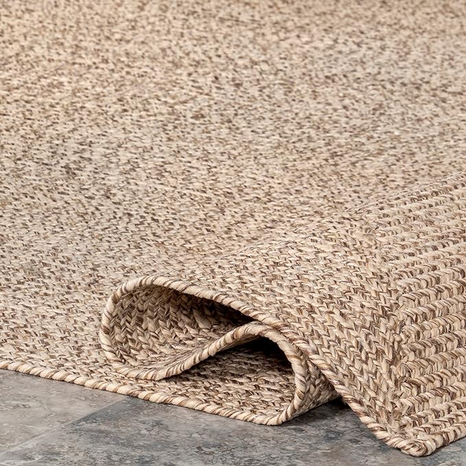 Wynn Braided Indoor/Outdoor Area Rug, Tan