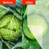 Bird Netting Garden Netting Insect Pest Barrier,Plant Cover Fruit Tree Netting Mesh Protection Bag with Drawstring,White