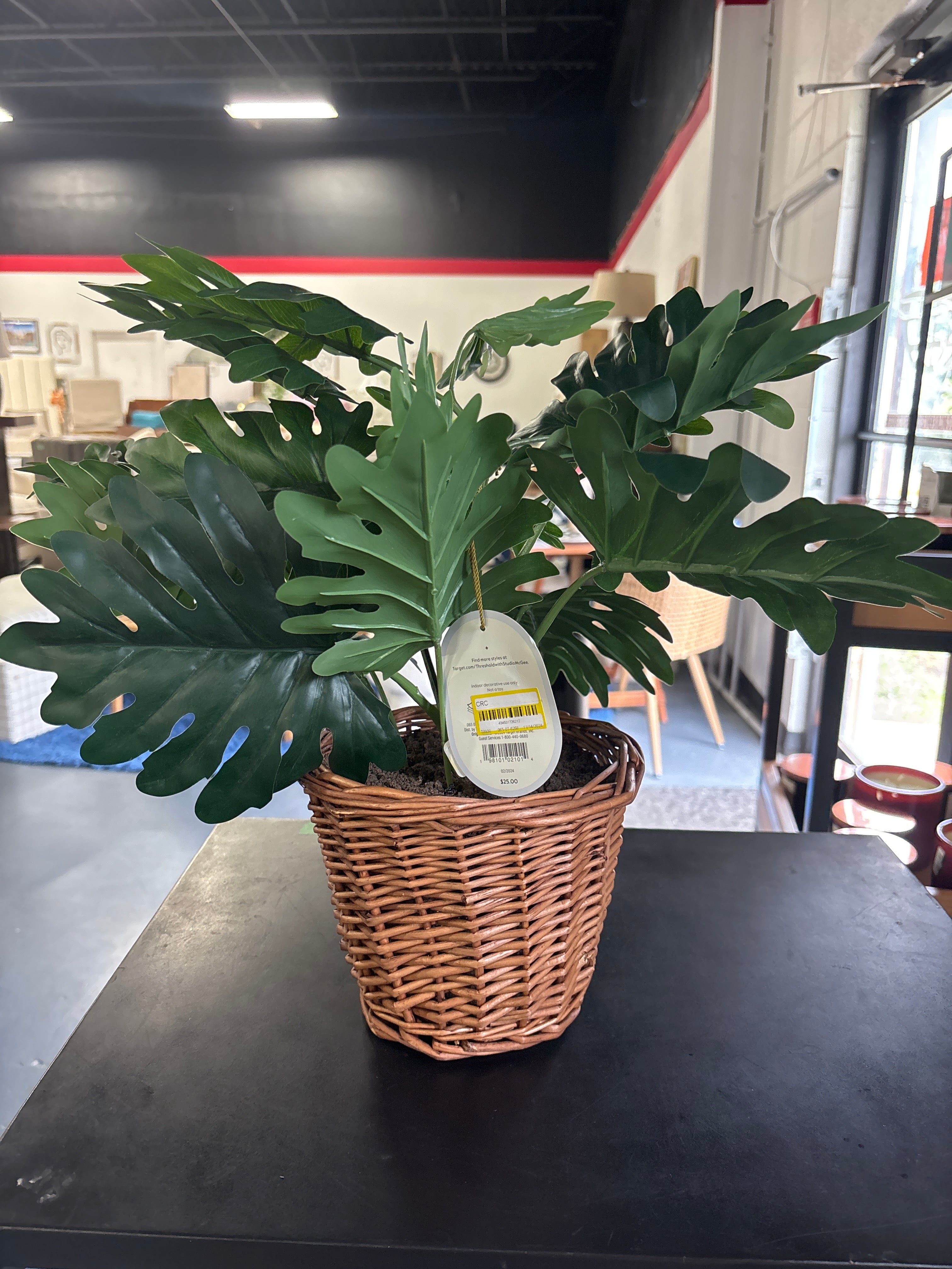Studio McGee 18” Philodendron Decorative Plant in Basket SHOWROOM ITEM