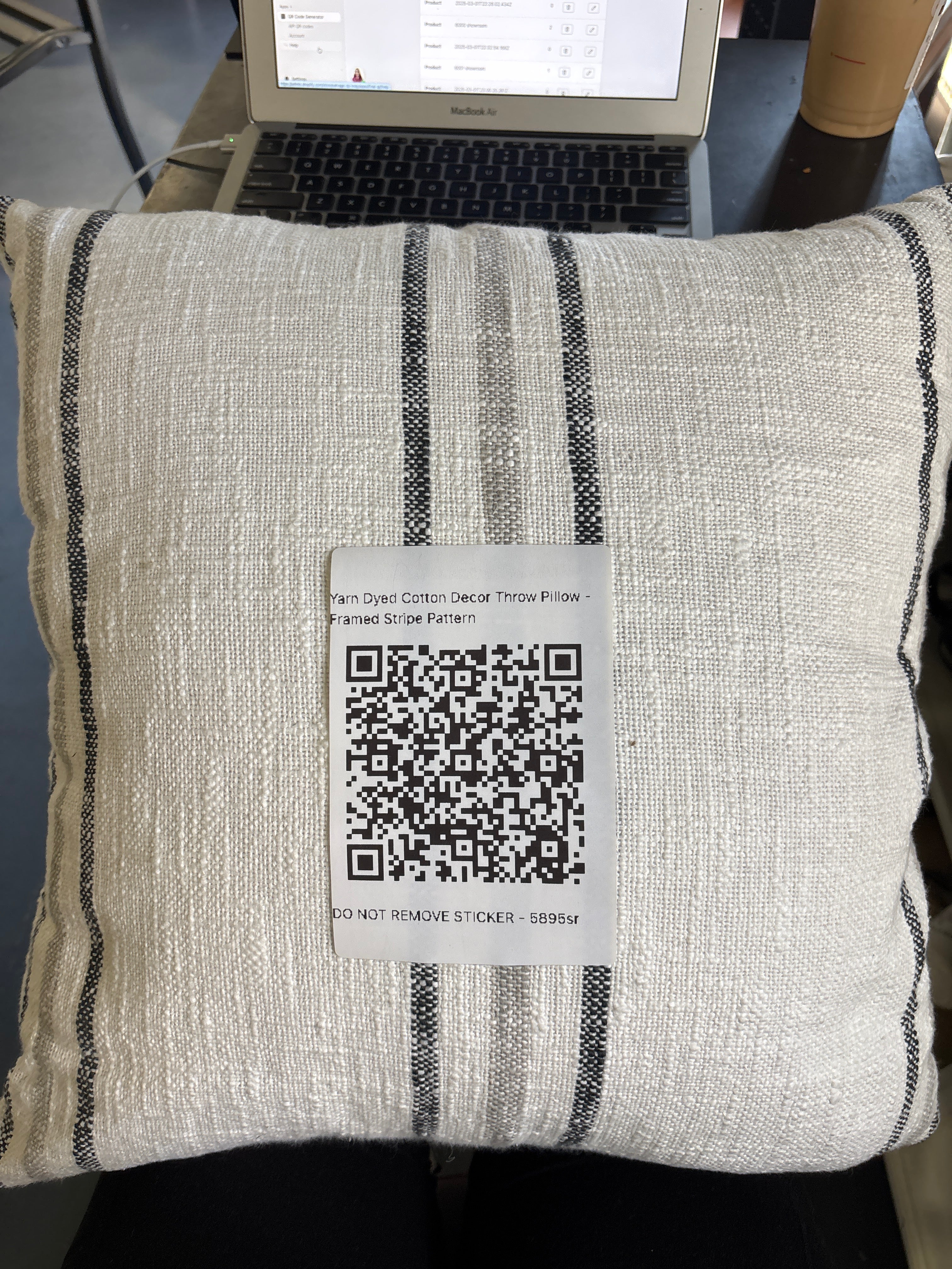 Yarn Dyed Cotton Decor Throw Pillow - Framed Stripe Pattern SHOWROOM ITEM
