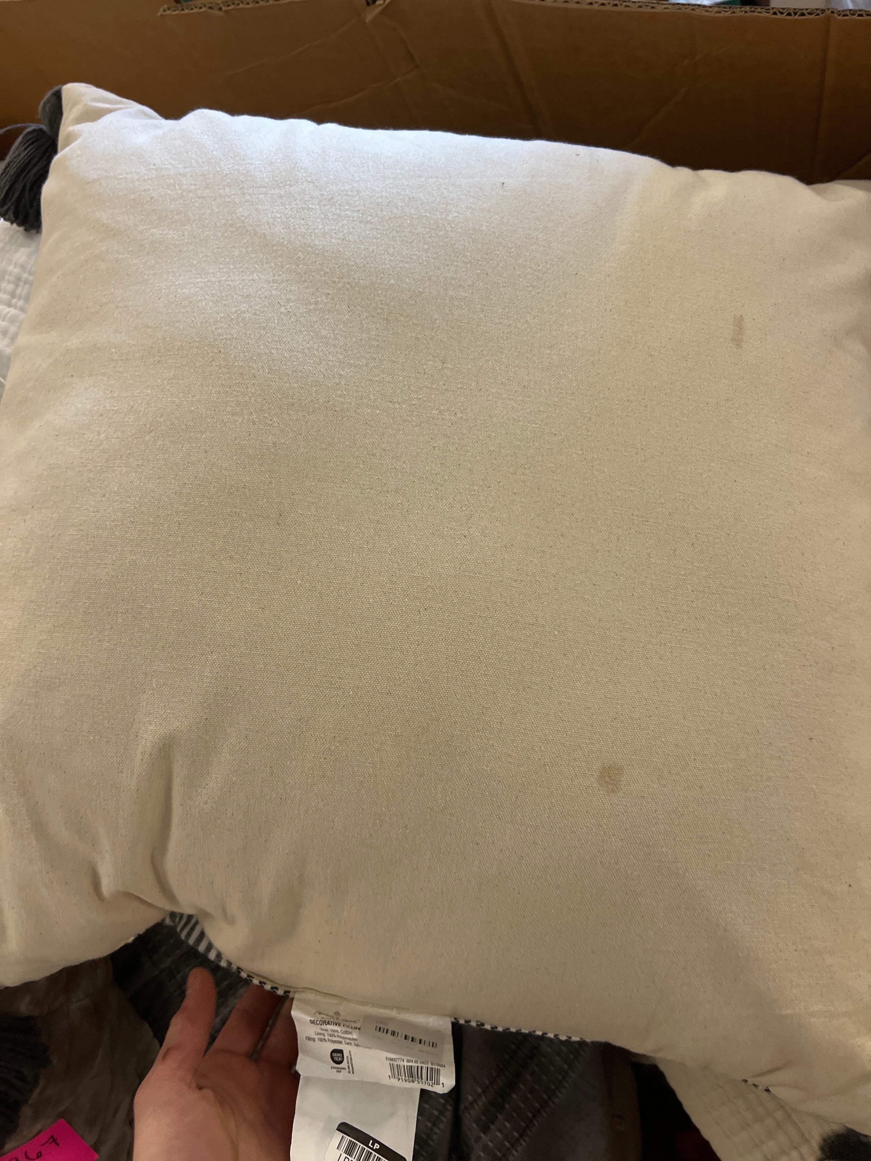 Woven Slub Stripe Throw Pillow with Tassels, final cut