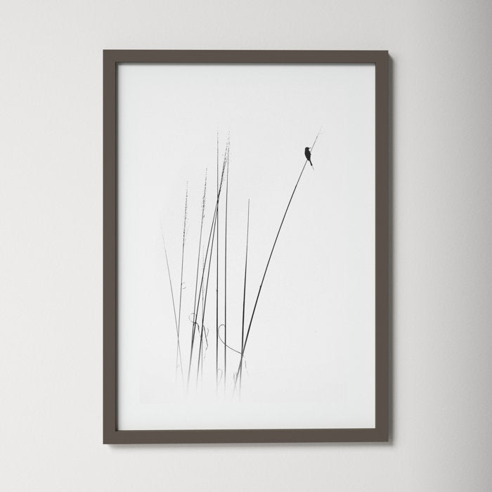 A Sabbatical Framed On Paper
