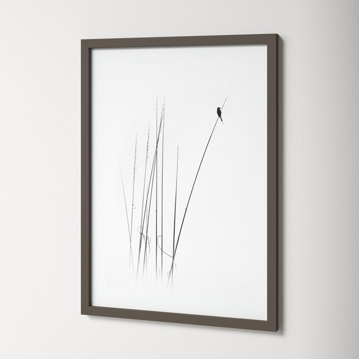 A Sabbatical Framed On Paper