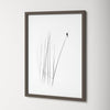 A Sabbatical Framed On Paper