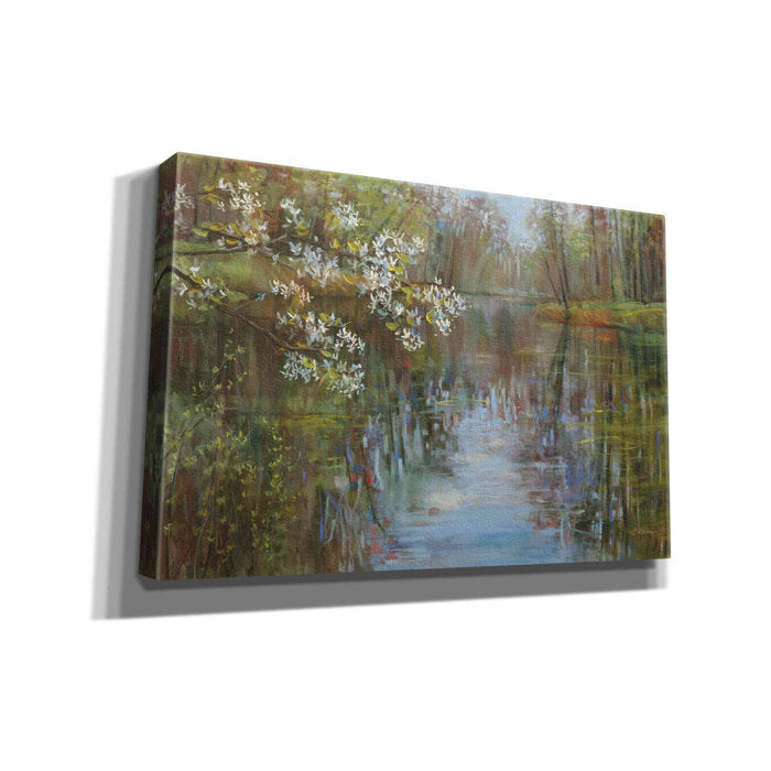 Aanis Spring Reflection On Canvas by Carol Rowan Print (final cut, no further discounts)