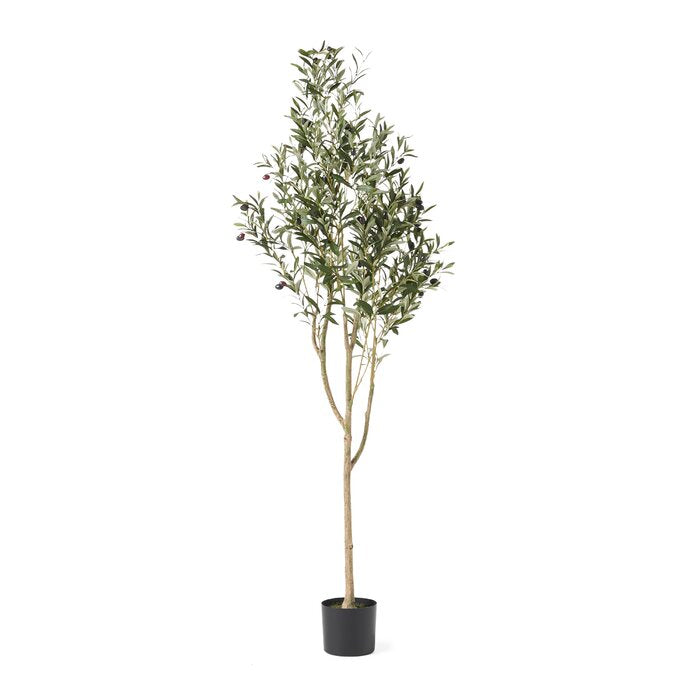 Aarav Faux Olive Tree in Pot