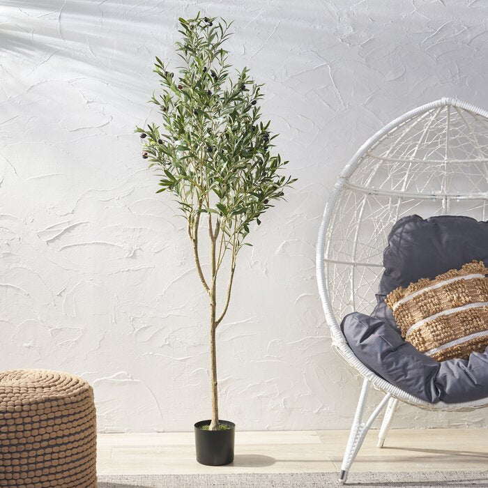 Aarav Faux Olive Tree in Pot