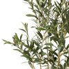 Aarav Faux Olive Tree in Pot