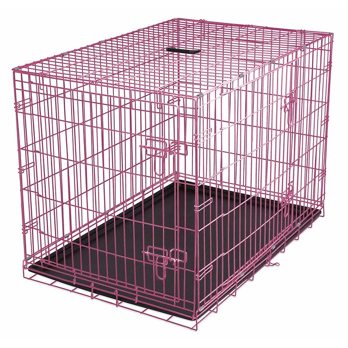 Abrams Medium Internet's Best Steel Foldable Wire Dog Pet Crate (final cut, no further discounts)