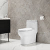 DV-1F026 Ally Dual Flush Elongated One-Piece Toilet