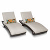 Beige Performance Anastase Outdoor Resin Chaise Lounge Set (Set of 2)