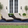Beige Performance Anastase Outdoor Resin Chaise Lounge Set (Set of 2)