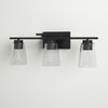 Black Averi 3 - Light Dimmable Vanity Light