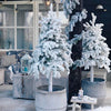 Benji Flocked Pine Flocked/Frosted Christmas Tree (no further discounts)