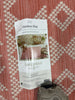 Geo Tapestry Rectangular Woven Outdoor Area Rug
