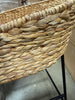 Landis Woven Backed Counter Height Barstool with Cushion