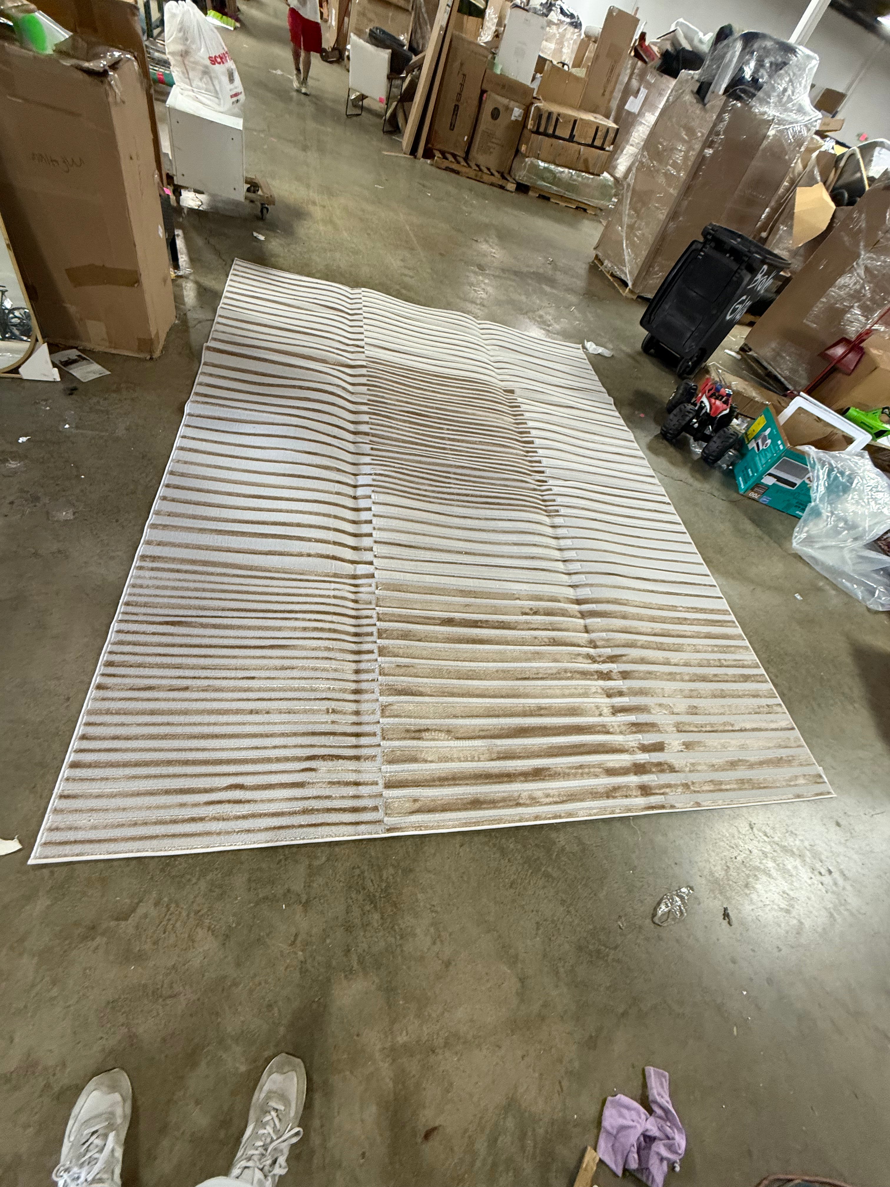 SPLASH Beige Silver 9'x12'