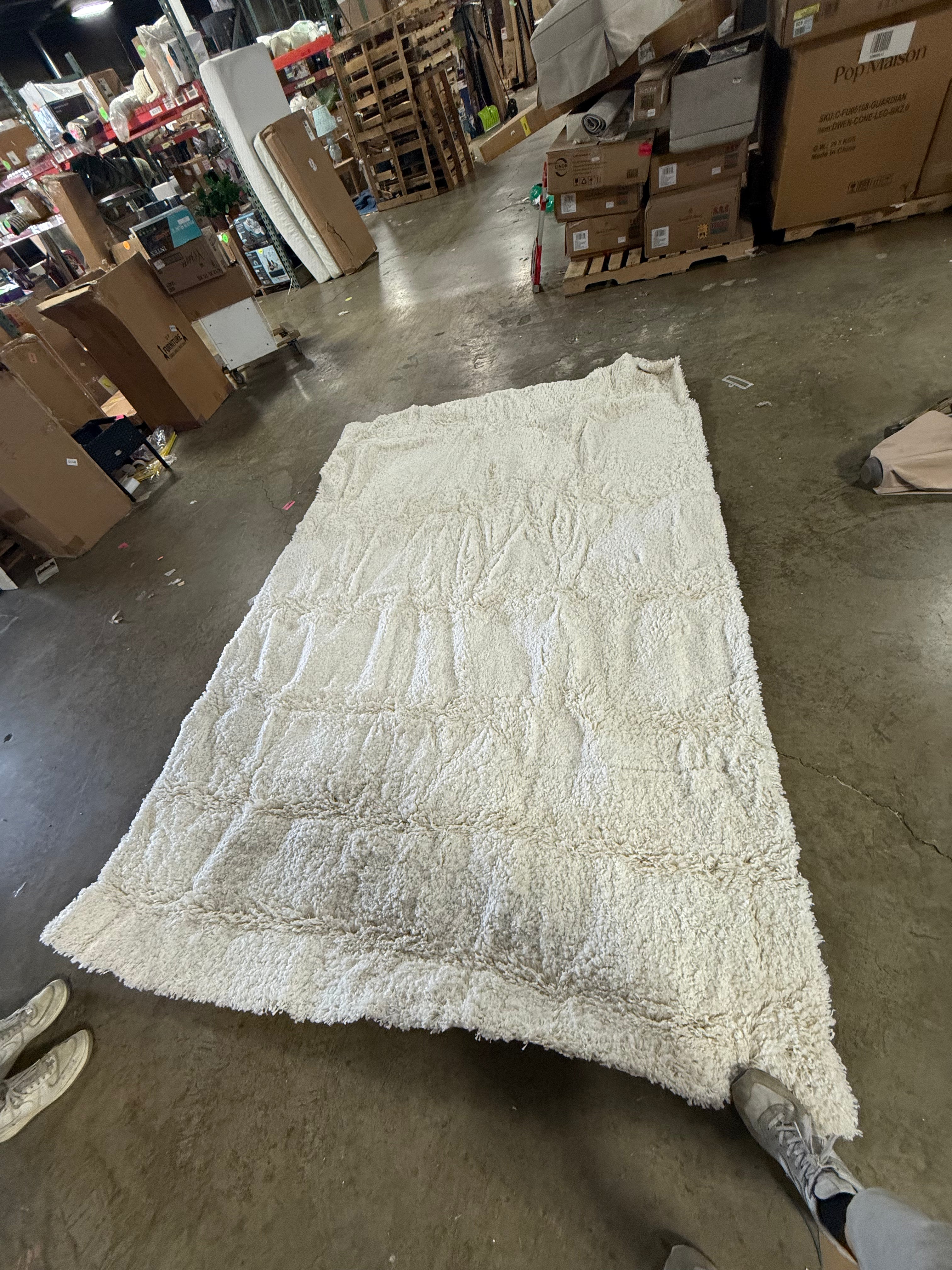 Eyelash Woven Shag Rug - 7'1"X10