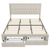 Binghamton Upholstered Platform Storage Bed with 2 drawers, King