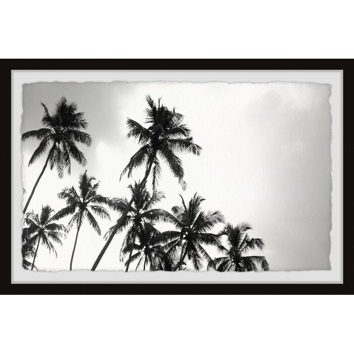 Black And White Palms Framed On Paper by Marmont Hill Print