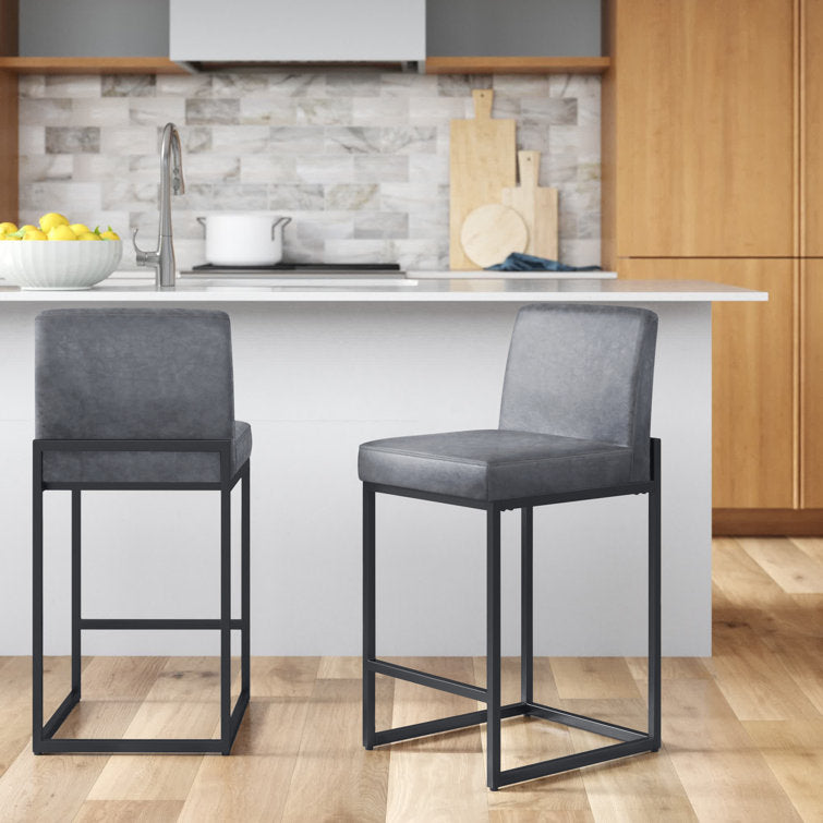 Boise Counter Stool (Set of 2)