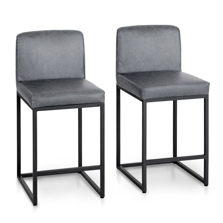 Boise Counter Stool (Set of 2)