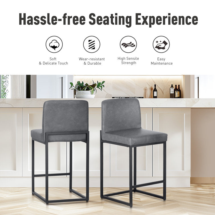 Boise Counter Stool (Set of 2)