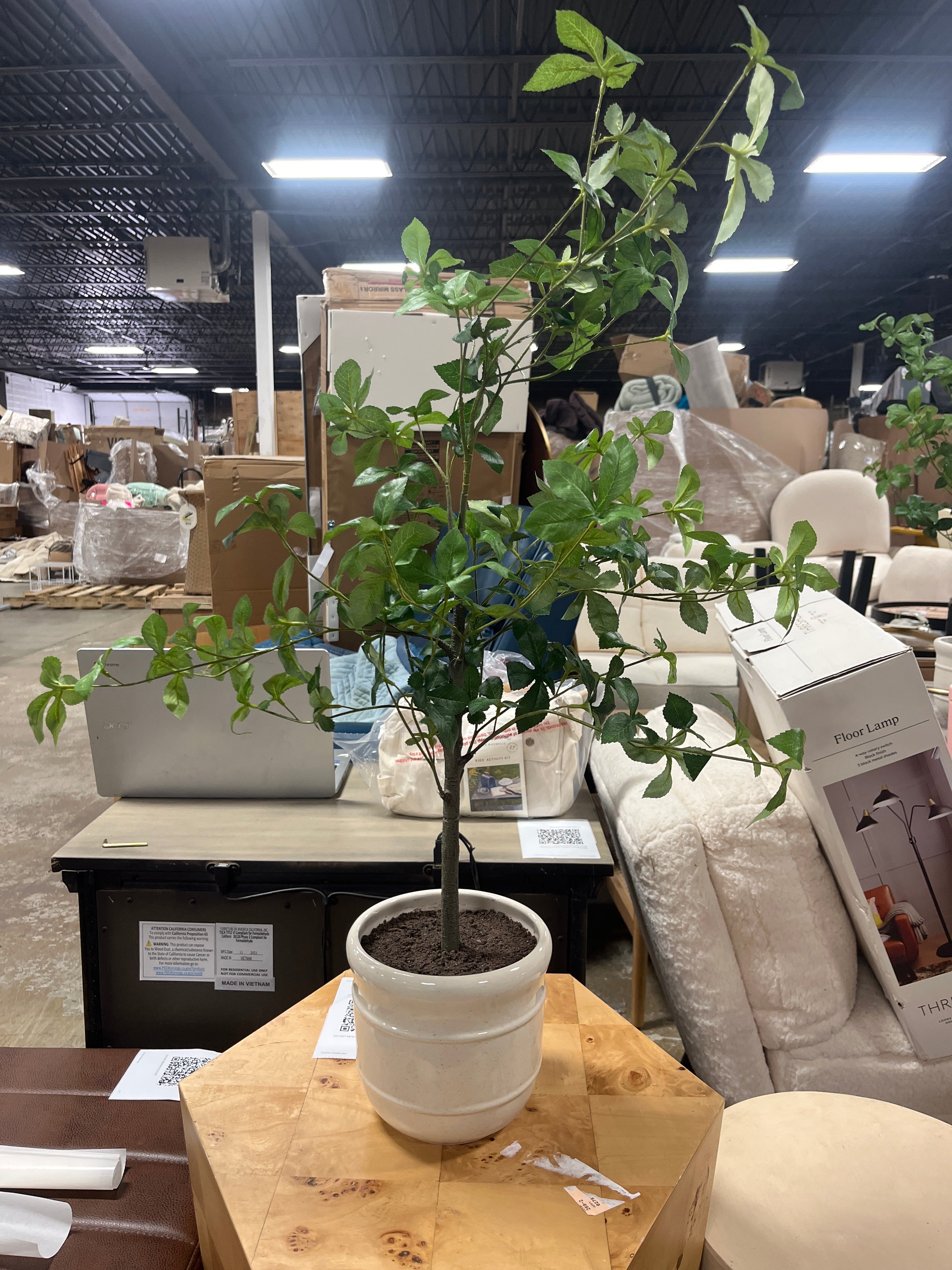 33" Faux Potted Gypsophila Leaf Tree - Hearth & Hand™ with Magnolia SHOWROOM ITEM