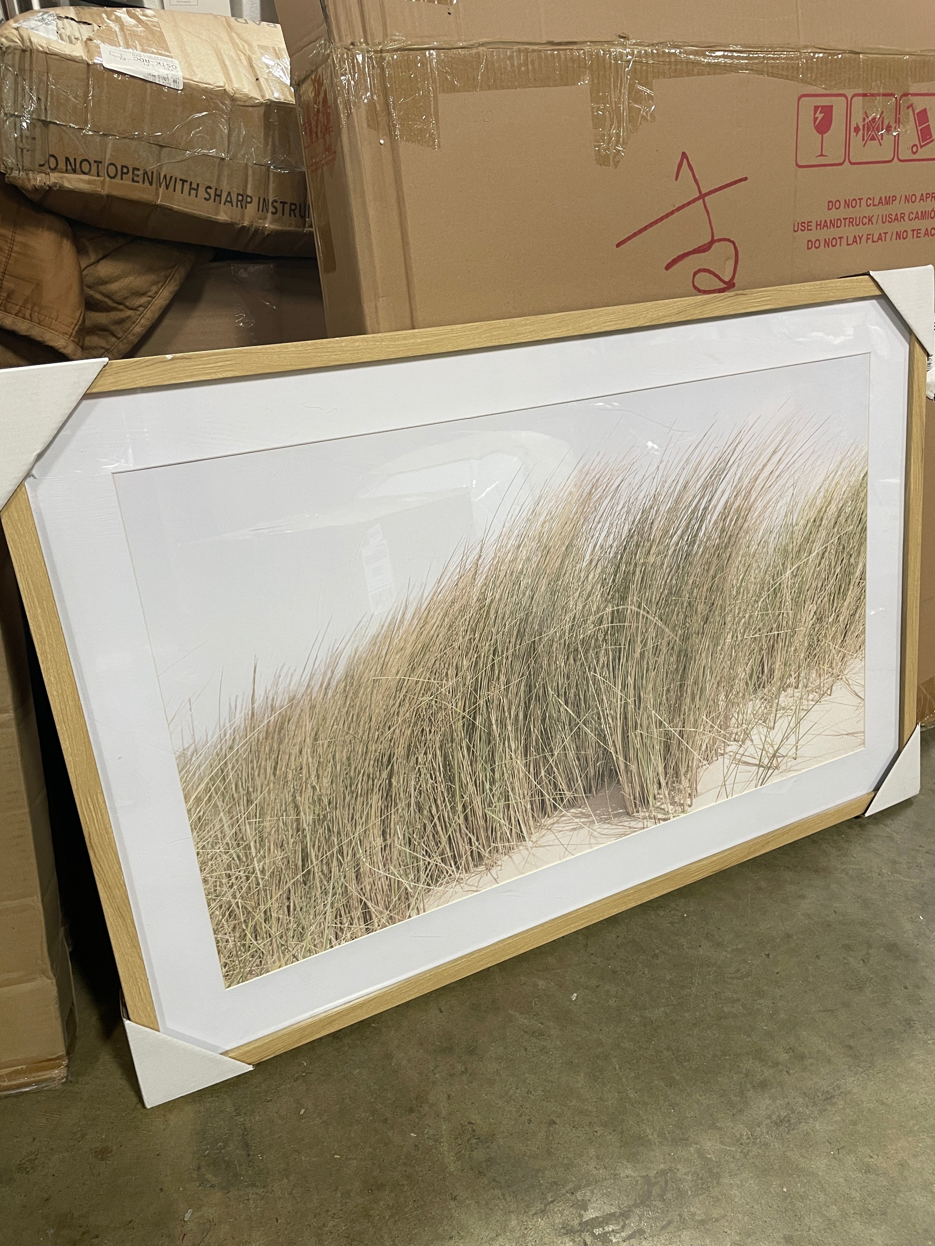 Grassy Dune Framed Wall Art