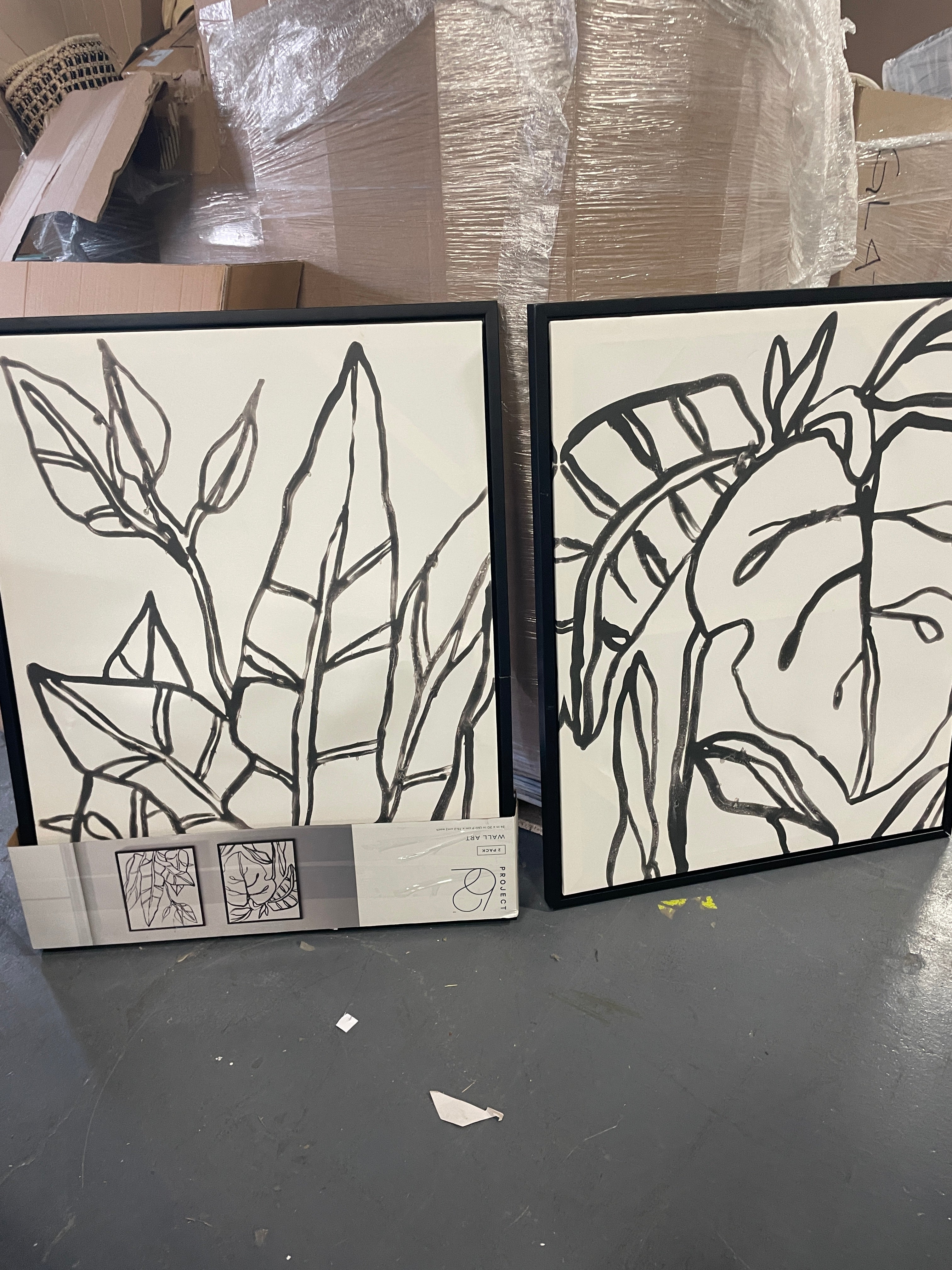 Botanical Sketch Framed Wall Canvas White/Black: Modern Vertical Digital Art Set