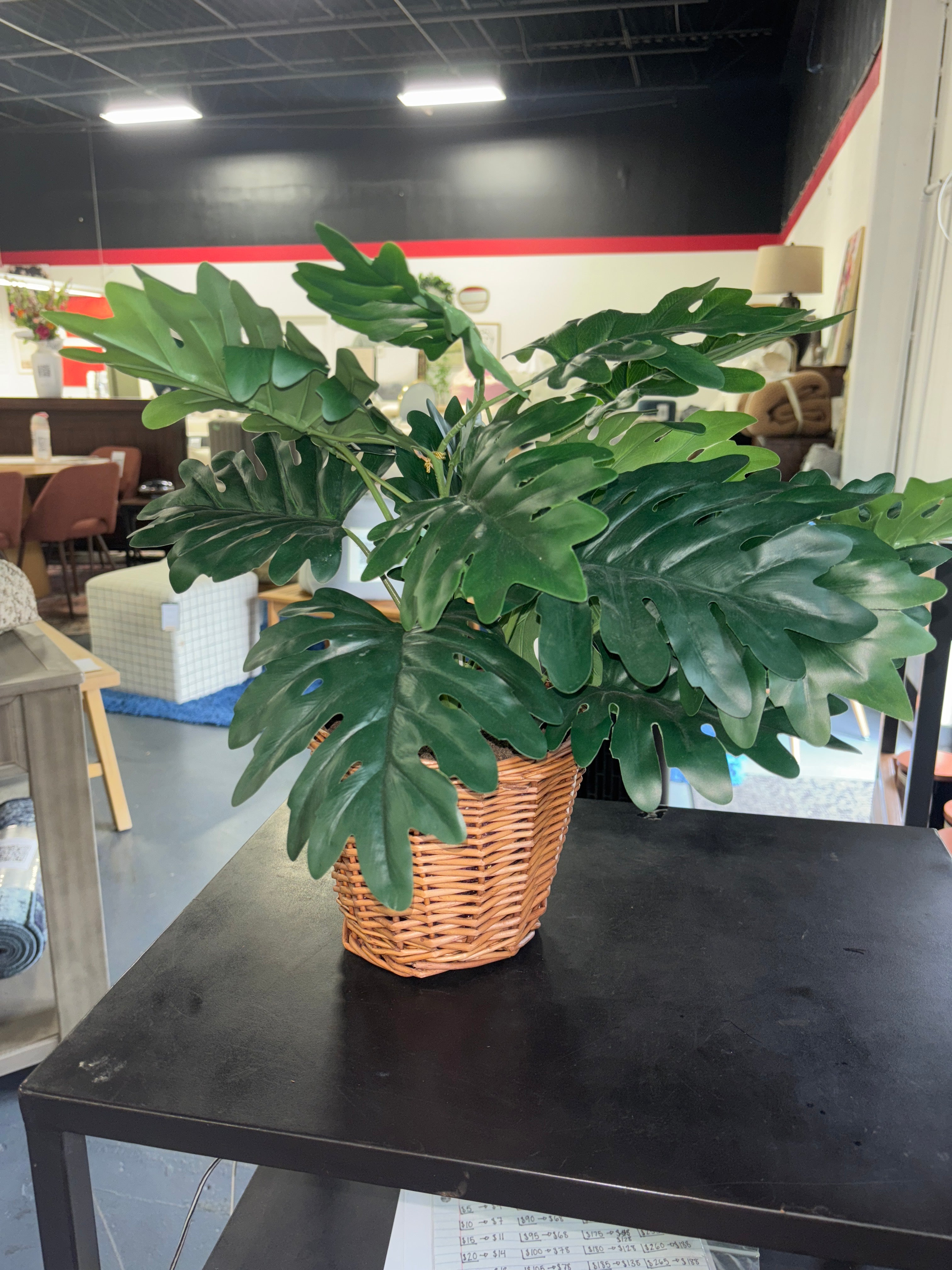 Studio McGee 18” Philodendron Decorative Plant in Basket SHOWROOM ITEM