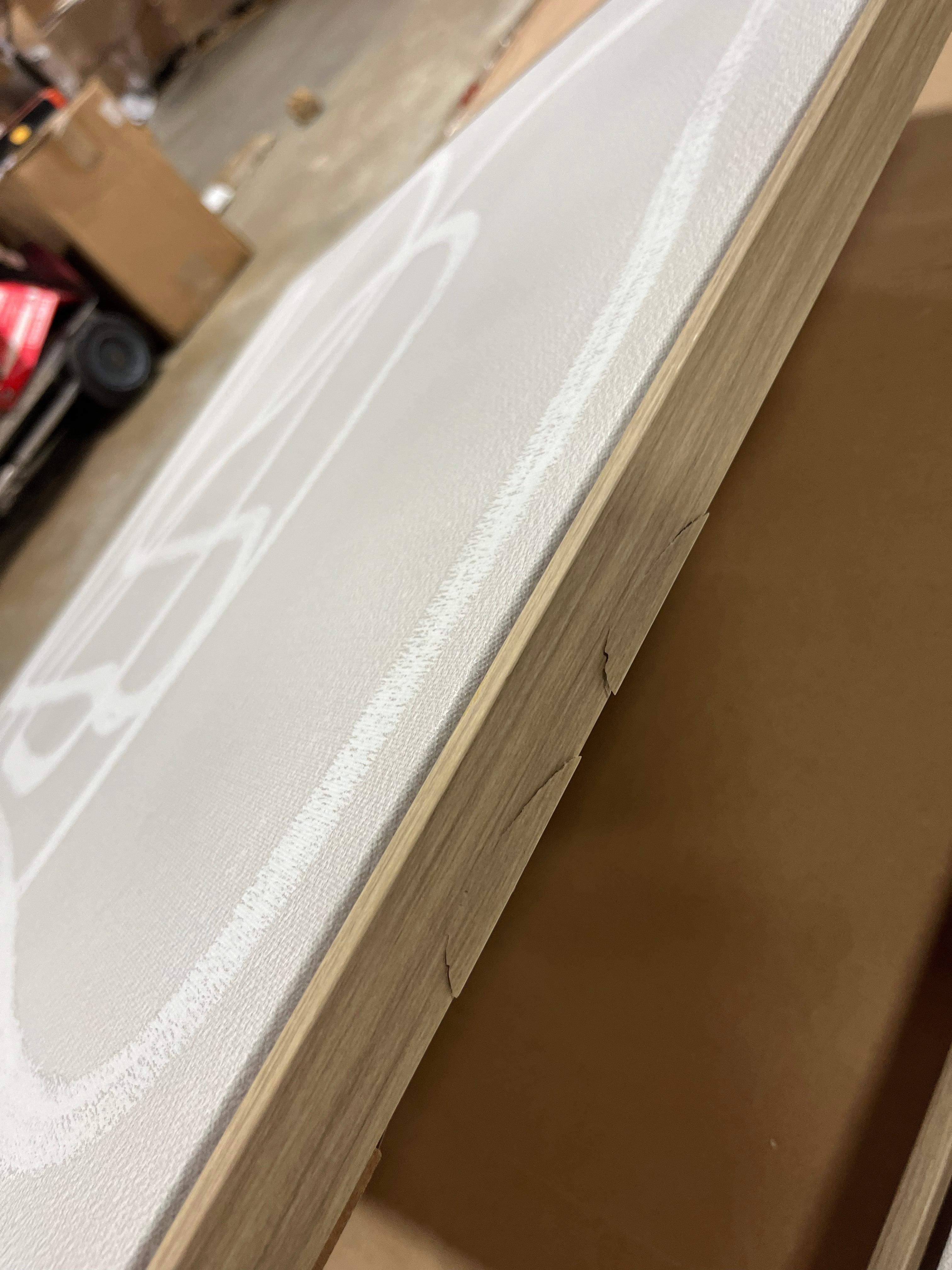 (Set of 2) Line Drawing Wall Canvases Gray/White