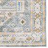 Ducote Washable Gray and Beige Machine Woven Area Rug 2'x3'