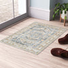 Ducote Washable Gray and Beige Machine Woven Area Rug 2'x3'