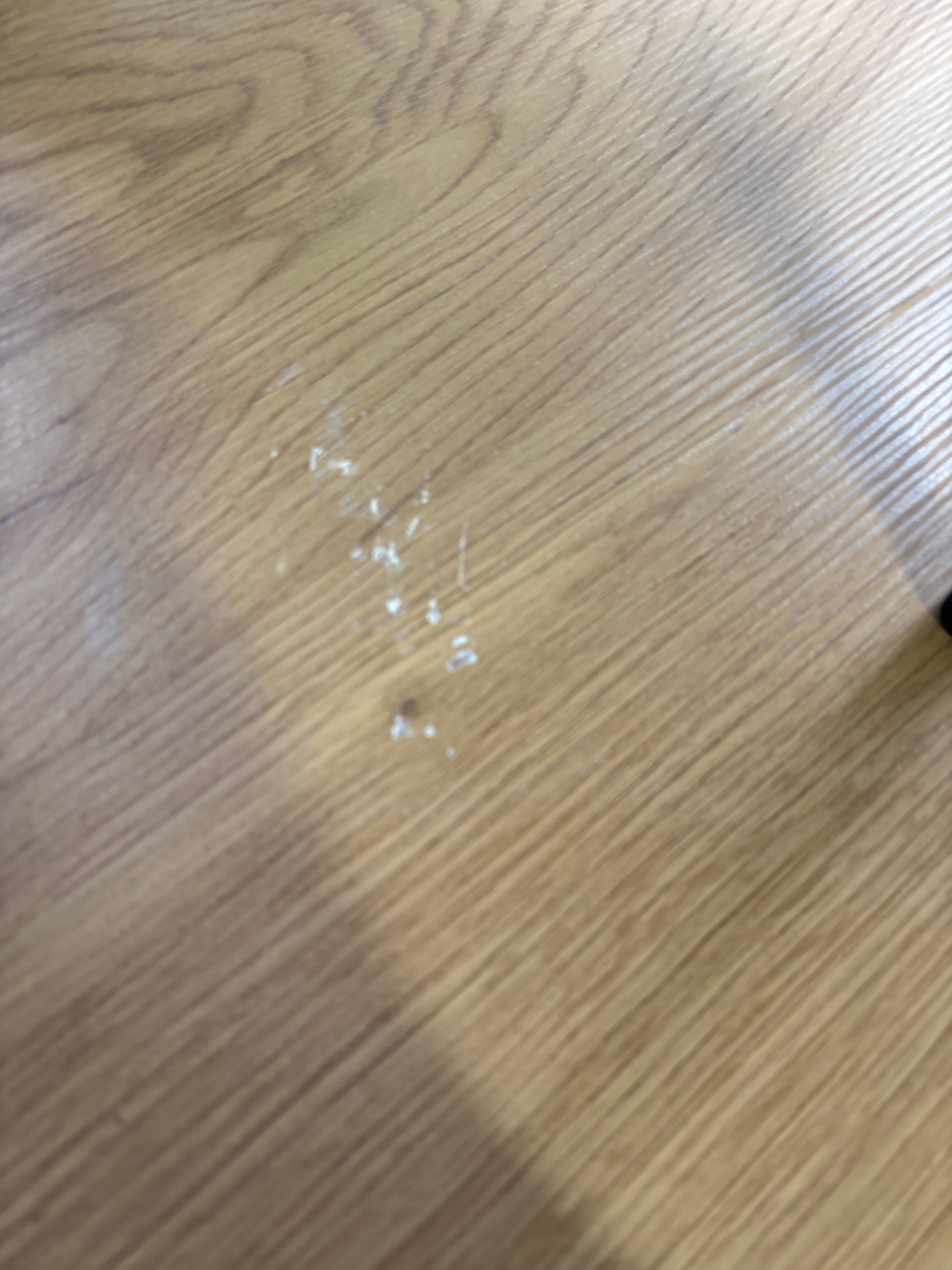 Agne 35" Round Pedestal Dining Table - Oak SHOWROOM ITEM