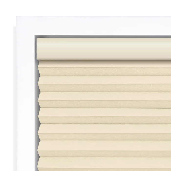 Cordless Blackout Cellular Shade