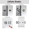 White EcoHome Cordless Semi-Sheer Light Filtering Top Down Bottom Up Cellular Shade