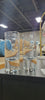 Boris Handmade Highball Glass Set of 2
