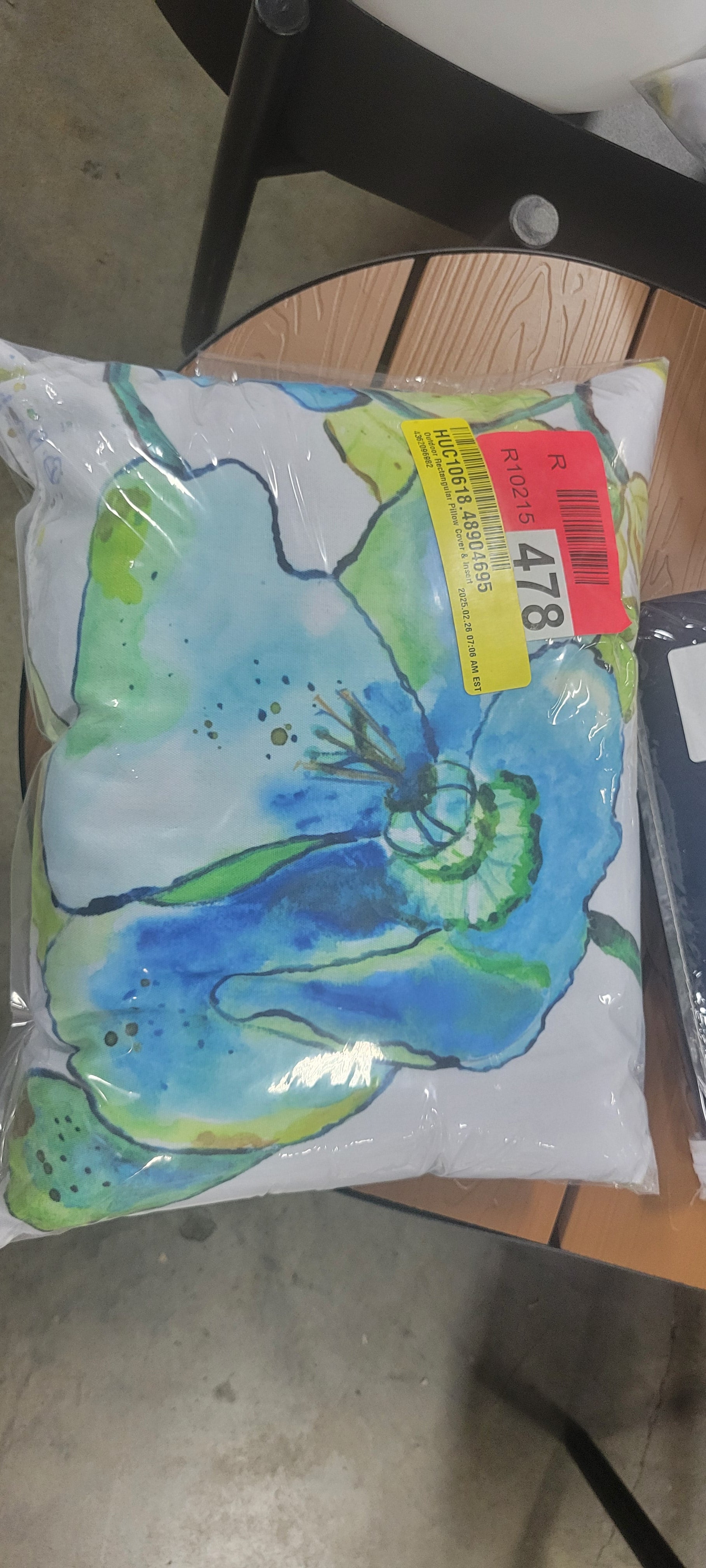 Indoor/Outdoor Throw Pillow