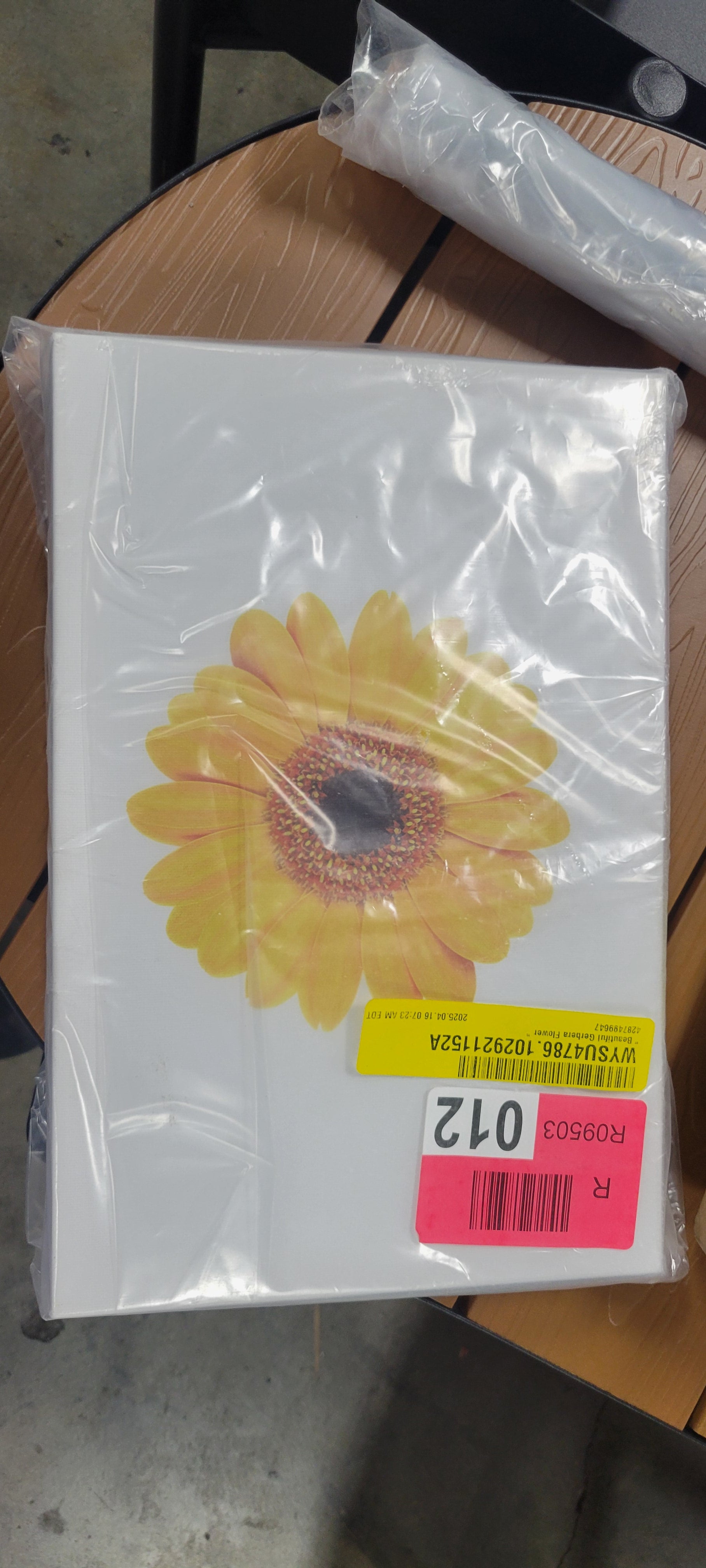 " Beautiful Gerbera Flower "