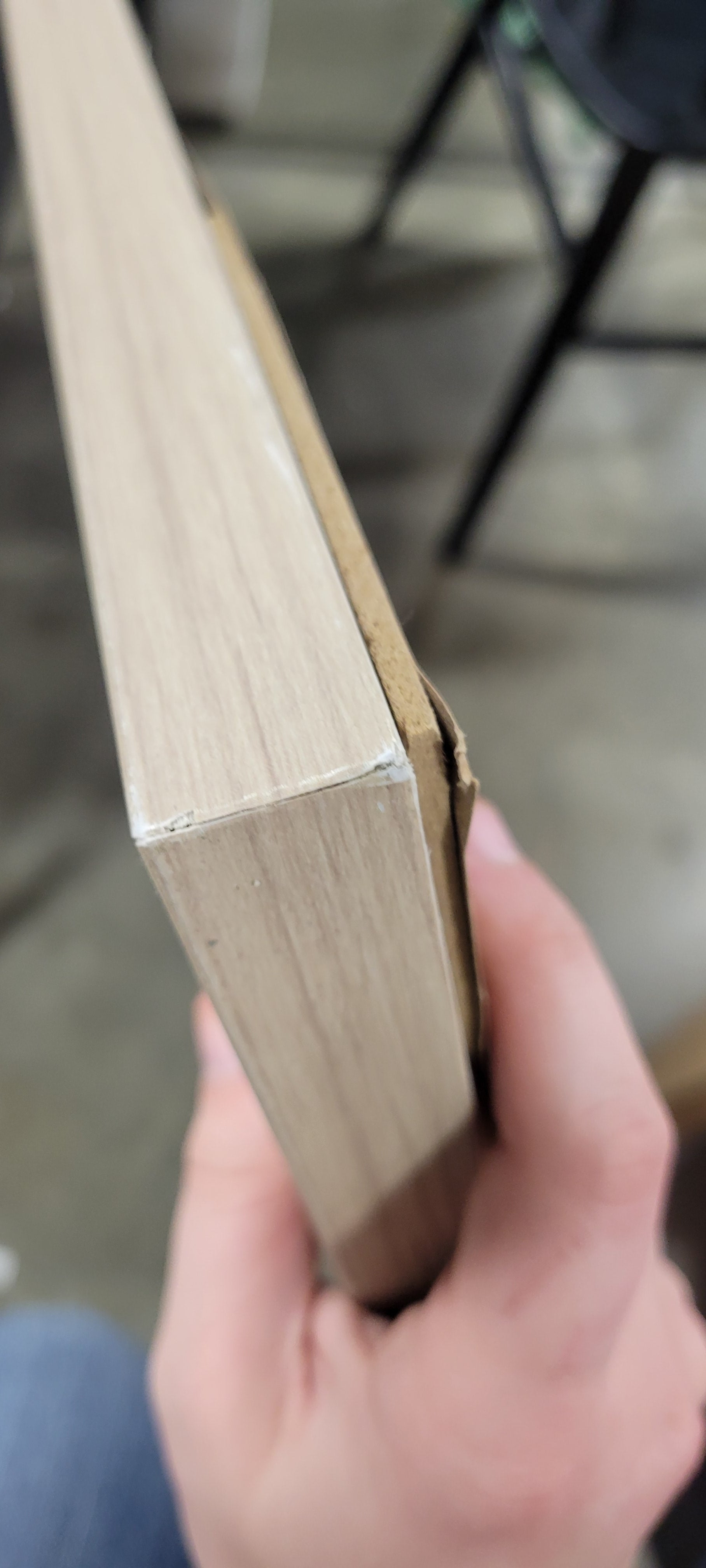 Line Drawing Wall Canvases Gray/White